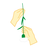 根元が祭壇の方へ向くよう時計回りに花を回します