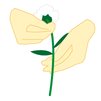 左手の甲を下にしてそっと献花台に置きます