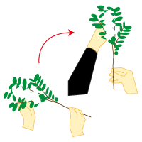 時計回りに90度回します