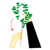 時計回りに180度回し