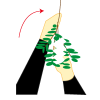 祭壇に根元を向けます